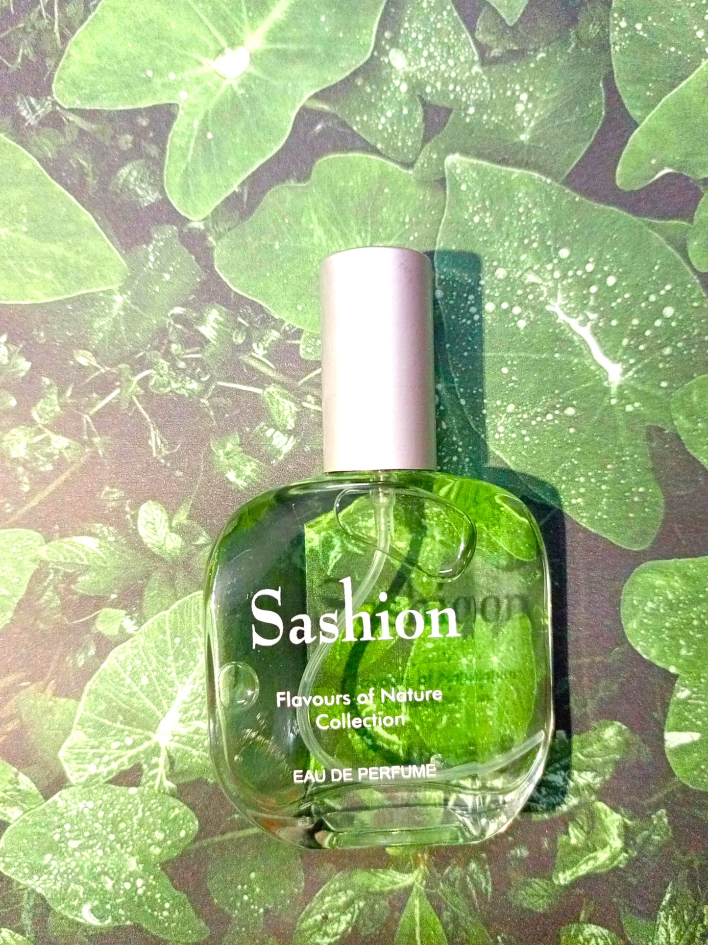 SOOTHING | Sashion